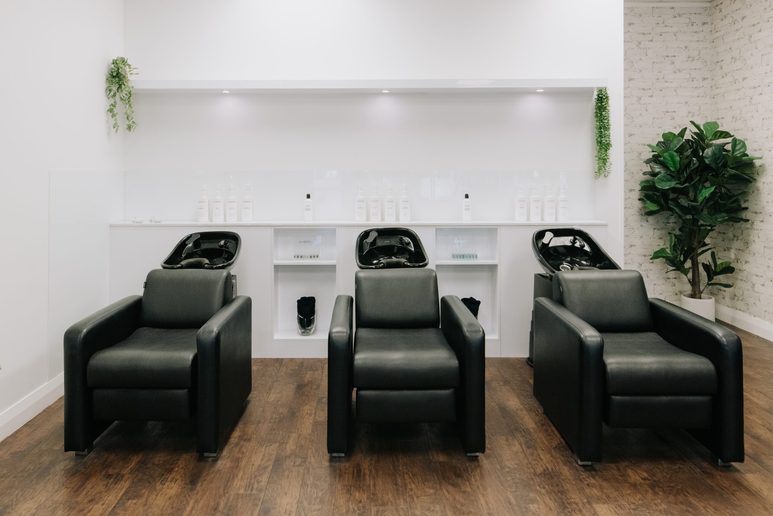 BR2_1005 Modo Hair Hamilton